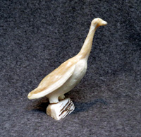 Inconnu - Oiseau