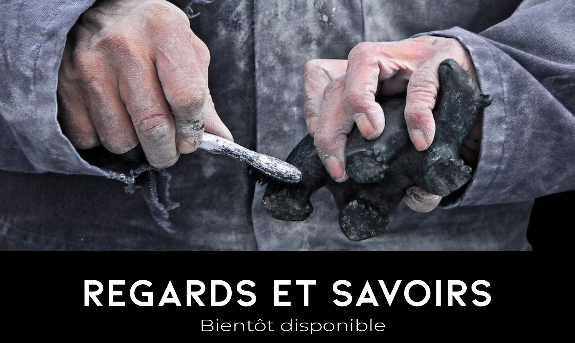REGARDS ET SAVOIRS