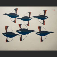 TEEVEE Ningeokuluk - Cross migration