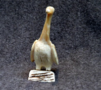 Inconnu - Oiseau