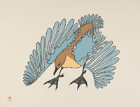 PUDLAT Aoudla - Bird of the Ice Foe