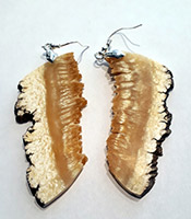Iquala - Boucles d'oreilles