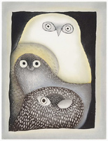 TEEVEE Ninggeokuluk - Owls in moonlight